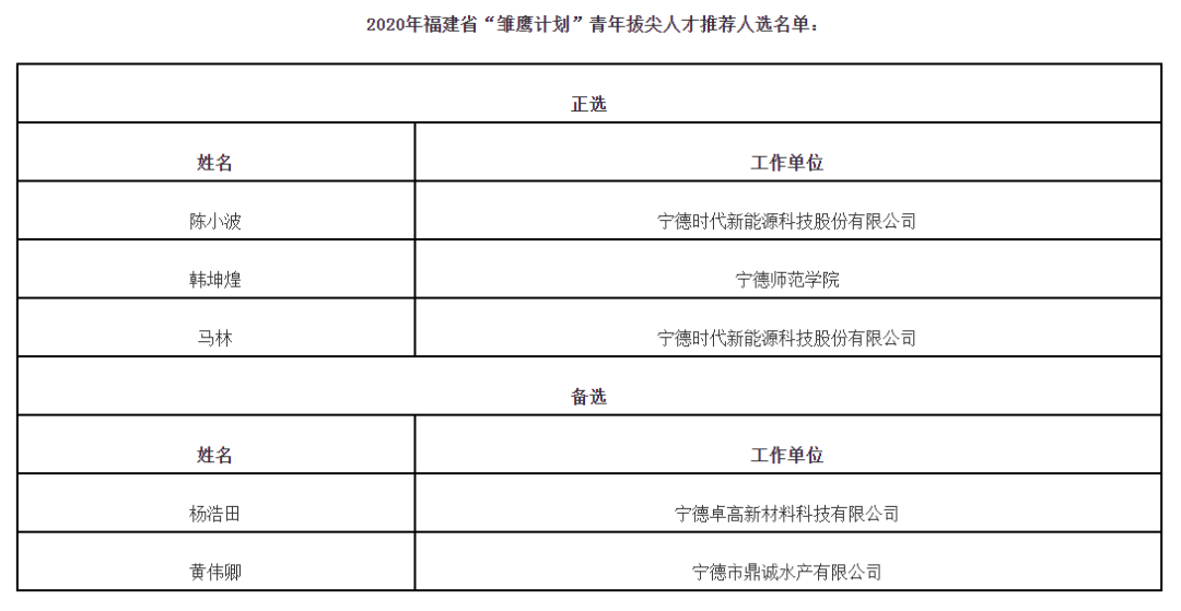 宁德人才晋升喜讯连连，最新任命动态精彩呈现