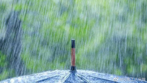 雨润大地，美好瞬间：各地暴雨实时美景速递