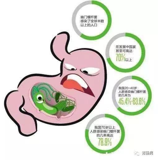 直击简析 第15页